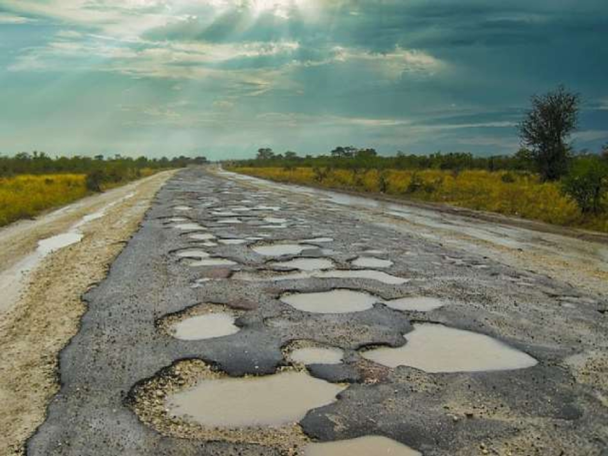 The long road ahead: From the farm to the table